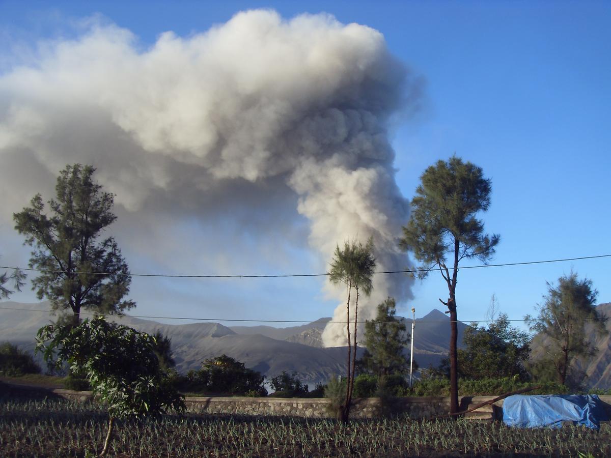 Cahyo Homestay Bromo Buitenkant foto