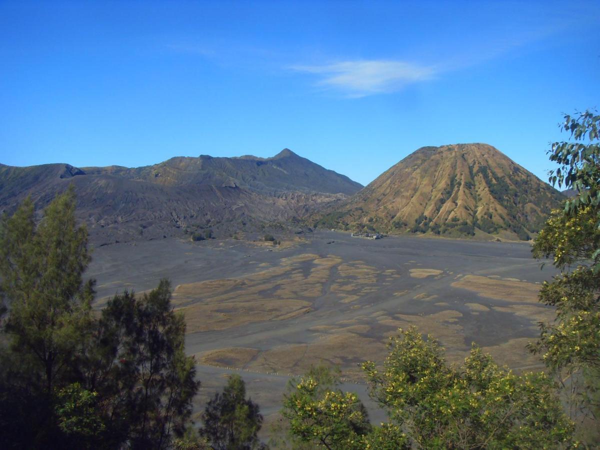 Cahyo Homestay Bromo Buitenkant foto